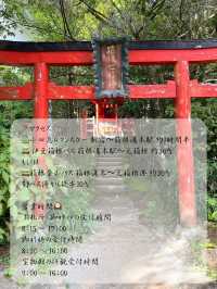 【神奈川 箱根】箱根のパワースポット⛩️箱根神社
