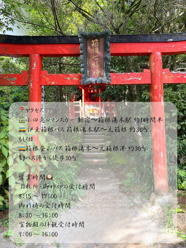 【神奈川 箱根】箱根のパワースポット⛩️箱根神社
