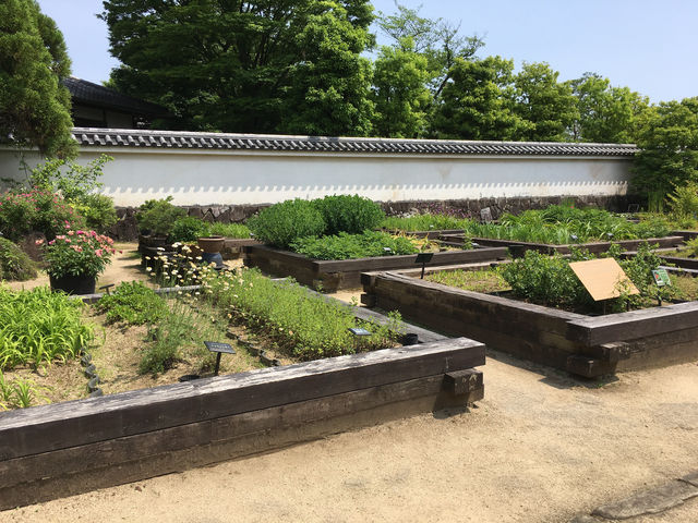 悠然漫步好古園：姬路城的靜謐之美
