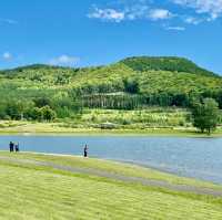 Kanayamako Forest Park: Nature's Paradise