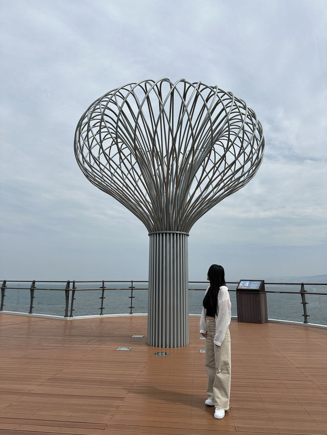 【韓国/木浦】灯台やスカイウォークが楽しめる東海観光地🌊