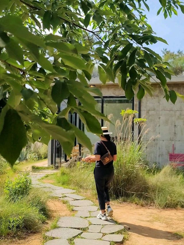 여수 치앙마이를 만나고 싶다면 바로 여기🌿