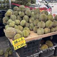 Golden Durian Delight