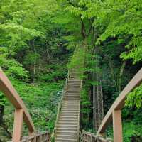 「春天踏青必去！象山步道，山谷城市景色一覽無遺！」