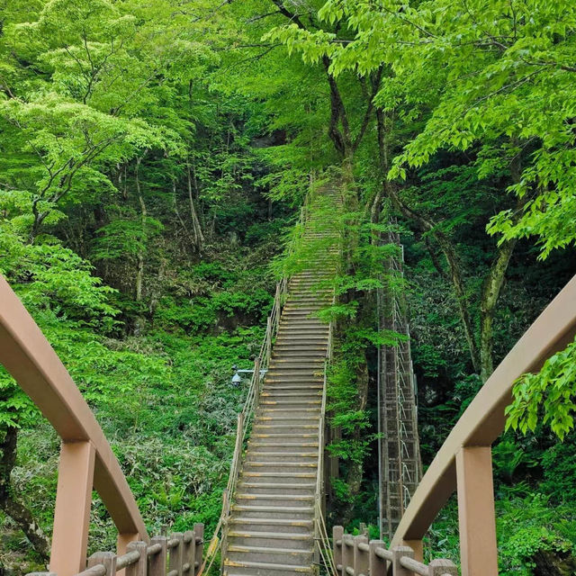 「春天踏青必去！象山步道，山谷城市景色一覽無遺！」