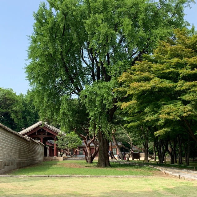 서순라길 필수코스 종묘투어
