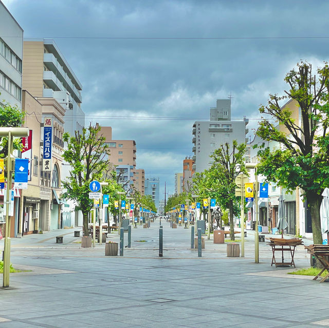 Discover Delight at Heiwadori Park
