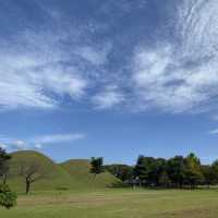 韓國 慶州 世界遺產一日遊：佛國寺、月池、瞻星台星