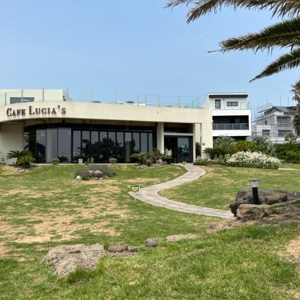 뷰 깡패 제주 카페 루시아
