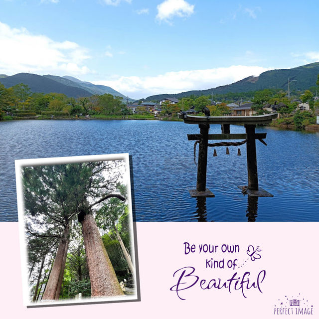 福岡難忘景點金鱗湖