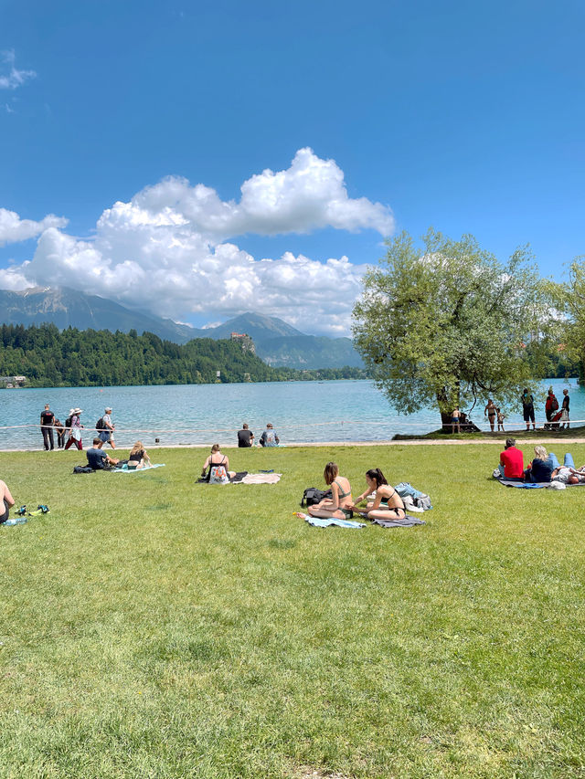 東歐🇸🇮 斯洛文尼亞 |小眾歐洲最美湖泊澈藍的Lake Bled