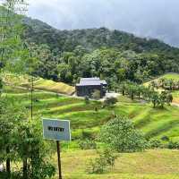 TALULAL HILL FARMSTAY RESORT 