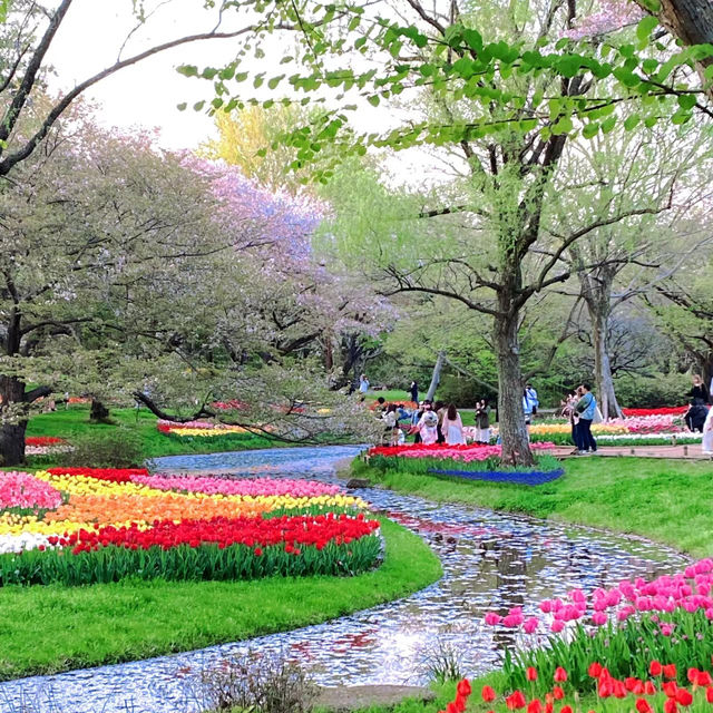 「羊山公園：絢麗花海，白日夜晚皆美」