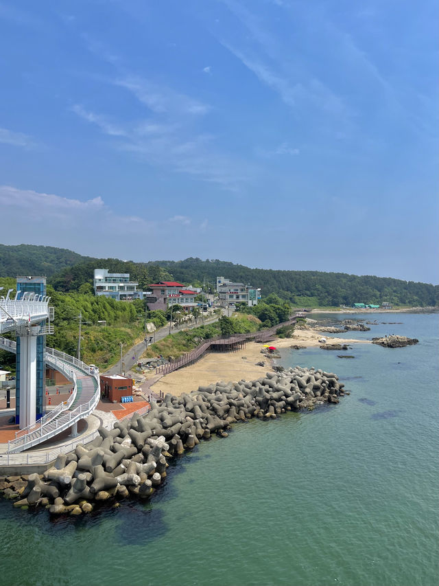 여름은 역시 바다죠!