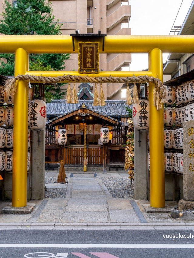 【京都最強金運神社】2枚目写真保存でもご利益💰可愛い御守りアイテムと御朱印の紹介⛩