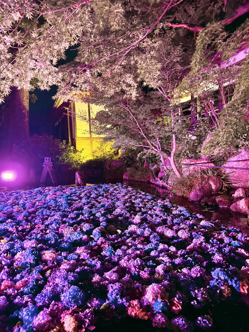茨城県〜幻想的！7/7まで雨引き観音ライトアップ✨ | Trip.com 桜川市