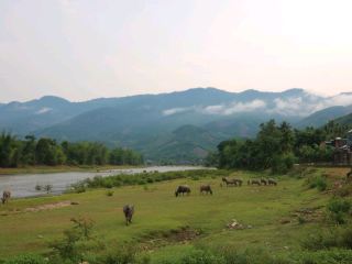 In the mountain of Quang Ngai trip