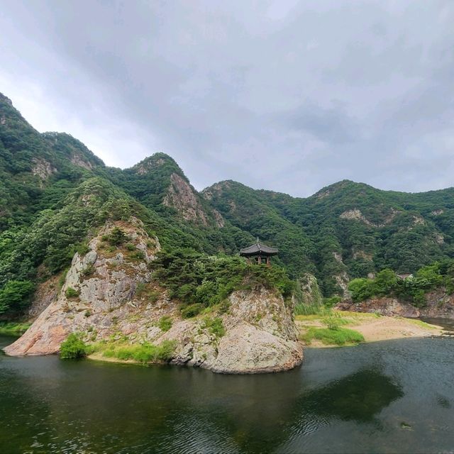대한민국의 하롱베이~산과 물, 대나무숲, 바람, 야경, 와인동굴