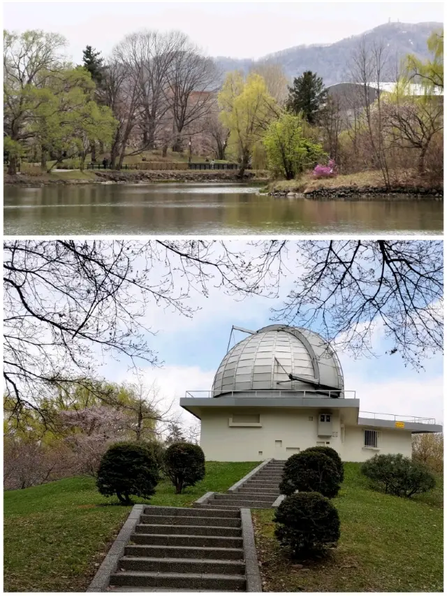 A Must-Visit Spot for “First Love” Fans!