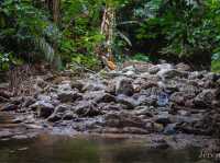 รีวิว อุทยานแห่งชาติเฉลิมรัตนโกสินทร์