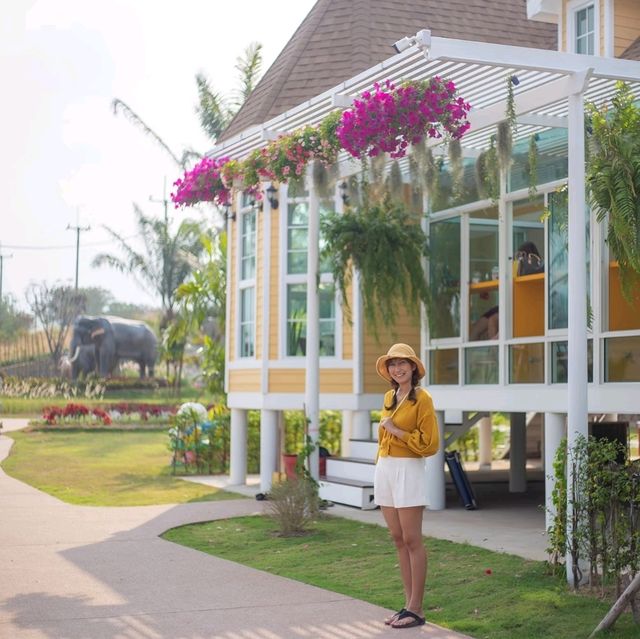 Mam Mha Cafe ระยอง