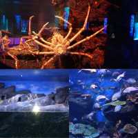 曼谷景點：SEA LIFE Bangkok Ocean World，適合家庭旅遊