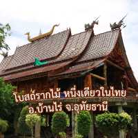 วัดเขาถ้ำประทุน ชมโบสถ์รากไม้ หนึ่งเดียวในไทย