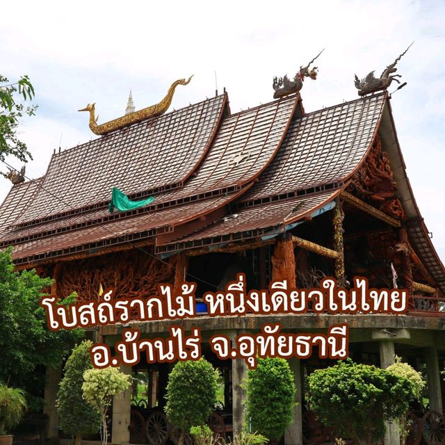 วัดเขาถ้ำประทุน ชมโบสถ์รากไม้ หนึ่งเดียวในไทย