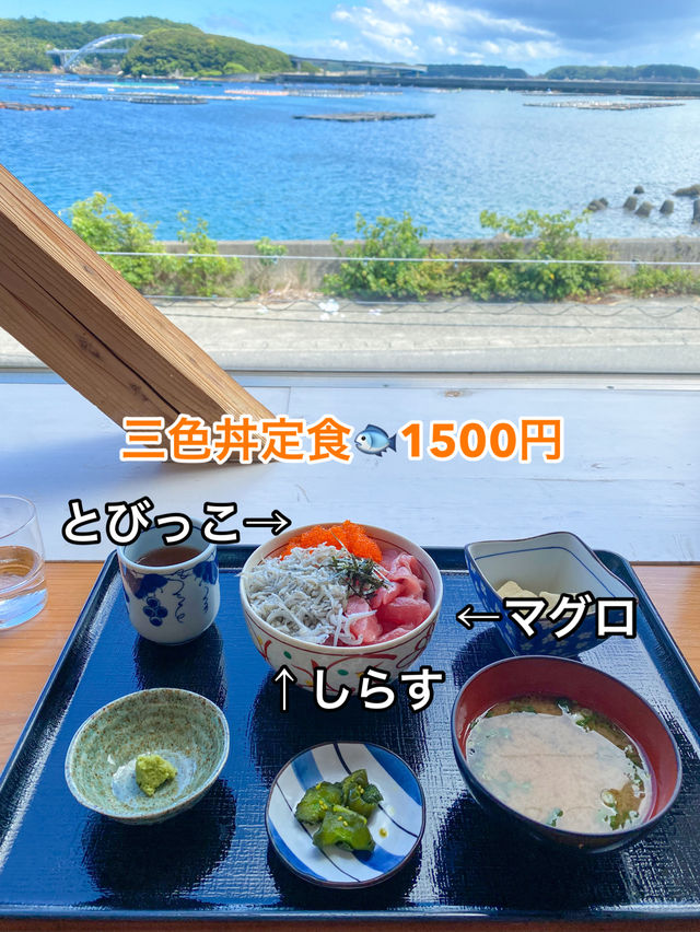 【和歌山】紀州なぎさの駅 水門まつりで串本産絶品マグロを堪能🎣✨