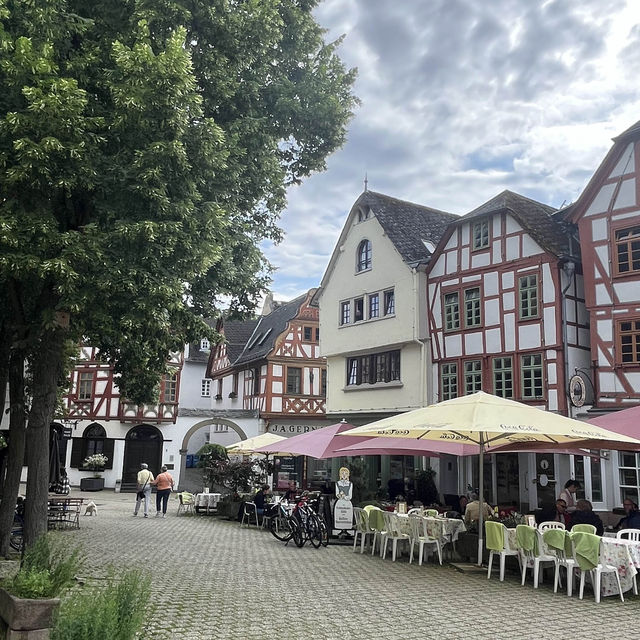 [독일 림부르크🇩🇪] 독일의 전통 목조 건물이 가득한 프랑크푸르트 근교 도시