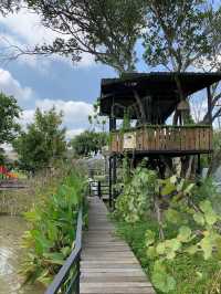 บ้านสวนรอยจรัล