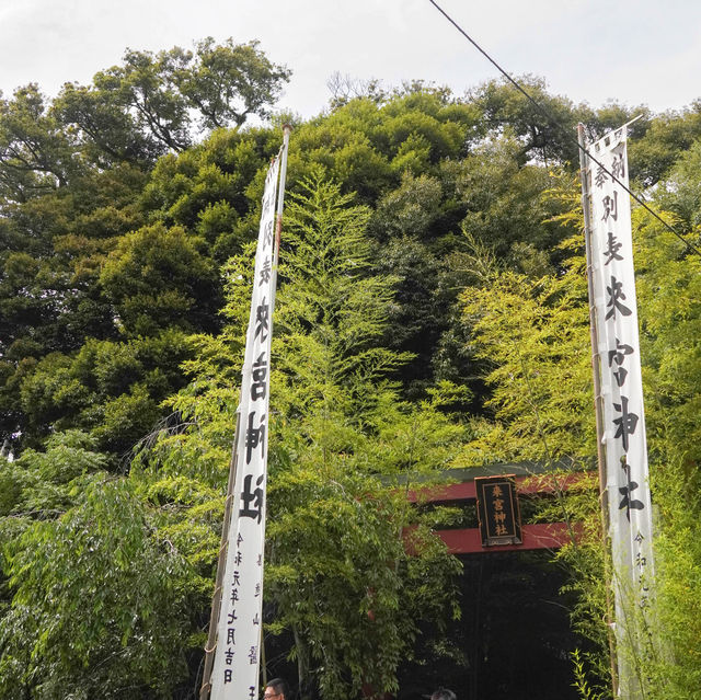 熱海避暑好去處🏖️ 來宮神社尋幽探秘