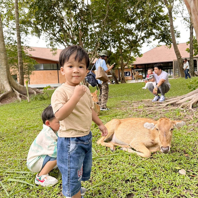 สวนสัตว์เปิดเขาเขียว 🌳 🐘🐒🦒🦓🦏🦜 🌳