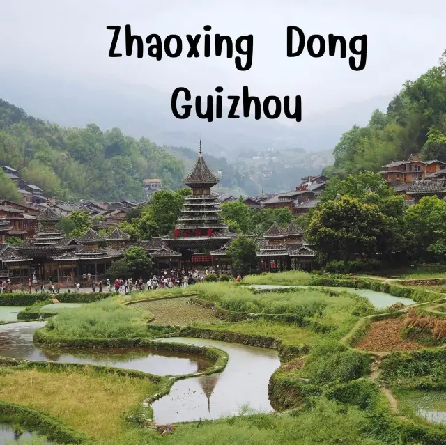 Zhaoxing Dong 🛖 #guizhou