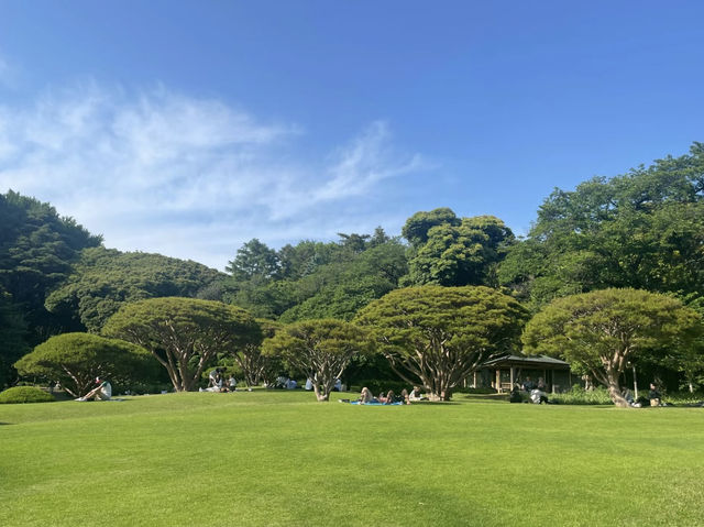新宿御苑：綠洲中的寧靜美，值得多次造訪！🔥🔥🏖️