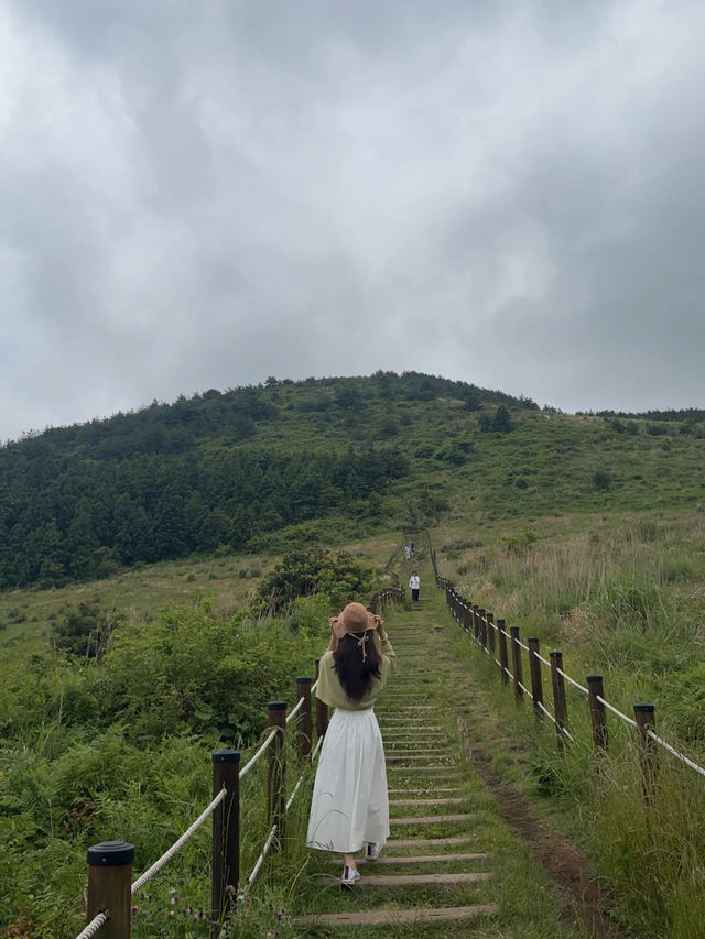 제주도에서 가장 쉽고 아름다운 오름 ! 백약이 오름 🏡