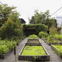 Our Farm ฟาร์มเราเอง Cafe & Restaurant