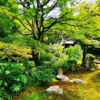 東福寺