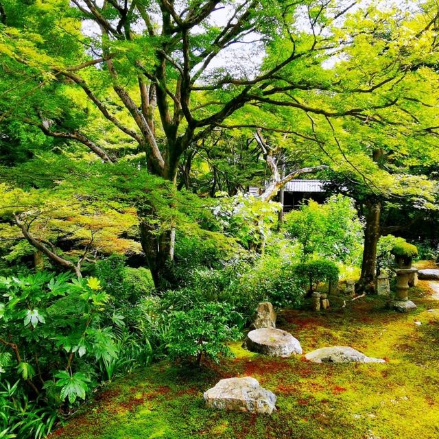 東福寺