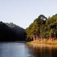 ล่องแพที่ปางอุ๋ง สัมผัสบรรยากาศยามเช้าสุดฟิน 🌲