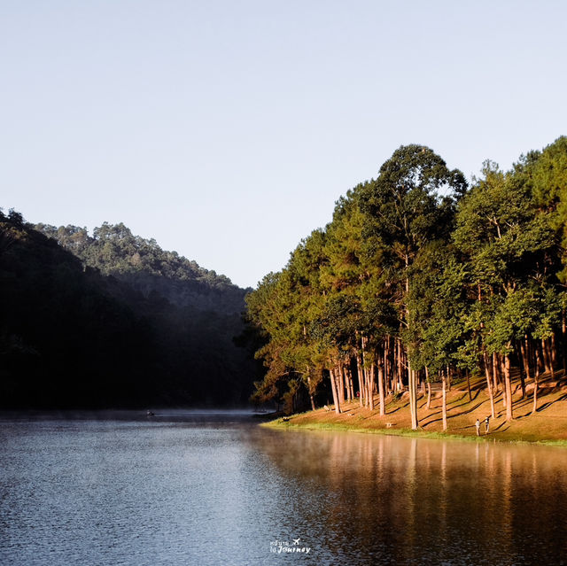 ล่องแพที่ปางอุ๋ง สัมผัสบรรยากาศยามเช้าสุดฟิน 🌲