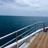 Scuba Diving in the Great Barrier Reef, Australia