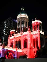 🇸🇬 A Photographic Gem During Singapore Night Festival