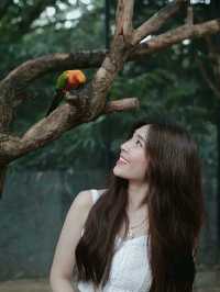 อู้หู้ว์