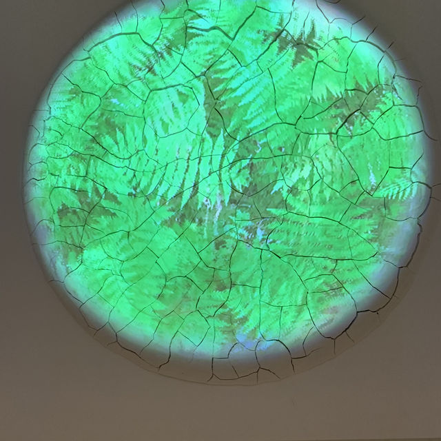 Immersive Art at 21c Museum Hotel Louisville Pavilion