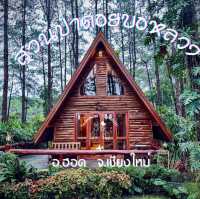 สวนป่าดอยป่อหลวง