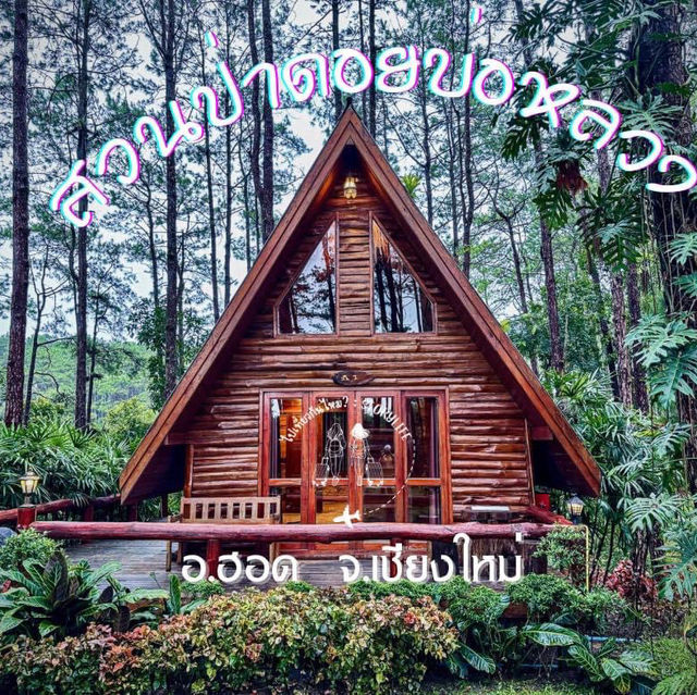 สวนป่าดอยป่อหลวง