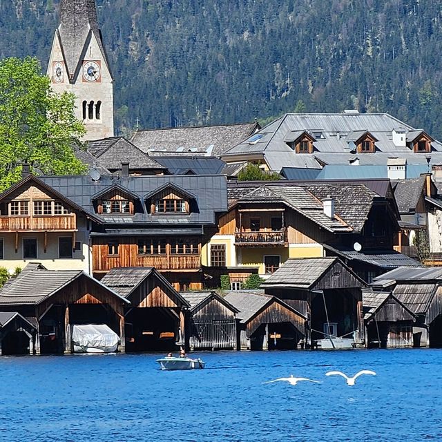 [オーストリア]人生が変わる絶景の湖[ハルシュタット]