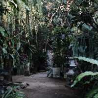 คาเฟ่ The Wanderer
