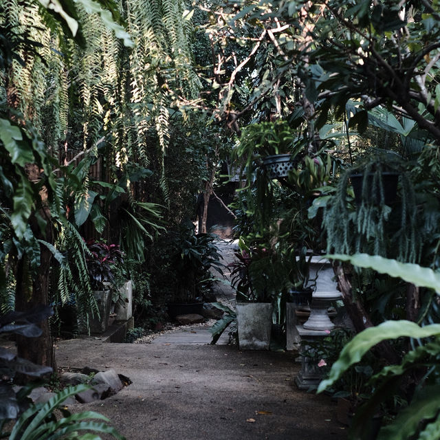 คาเฟ่ The Wanderer